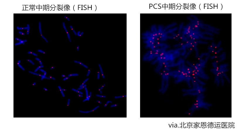 1546589080858859.png 5.png