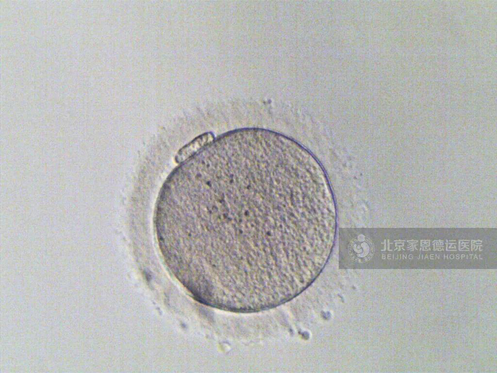 1583815956626917.png 圖片3.png