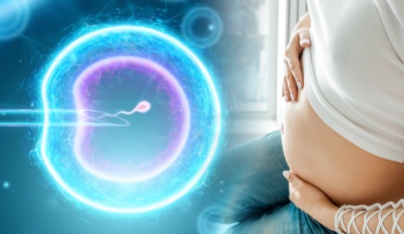 17359023533772184IST_36442_00011_副本.jpg IST_36442_00011_副本.jpg