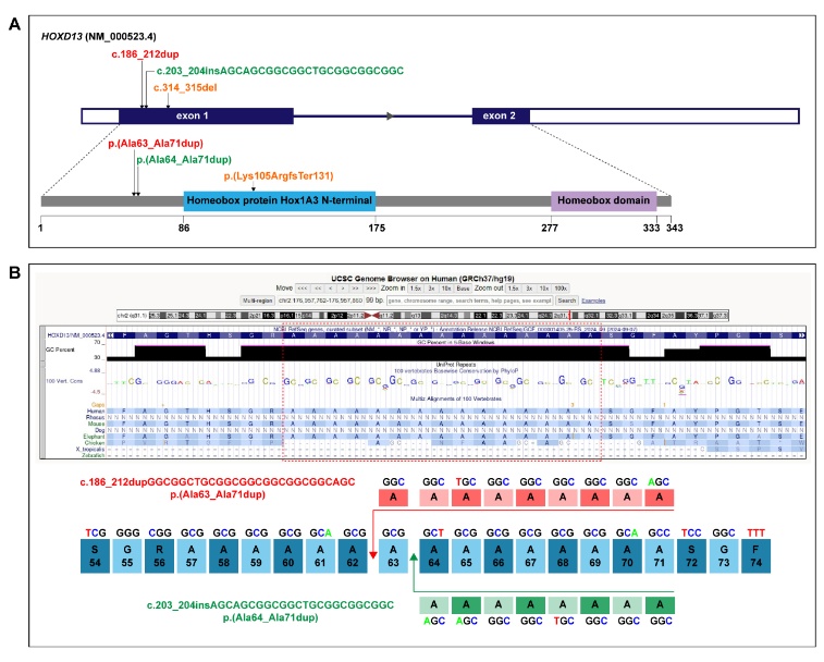 176831883194710313.jpg 3.jpg